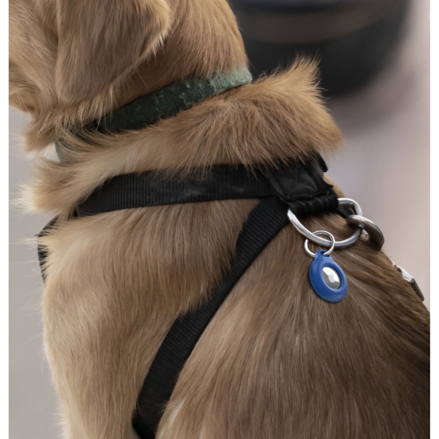 Belkin Secure Holder waterproof Key Ring blue MSC013btBL