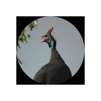 Canon Binocular 10x30 IS II