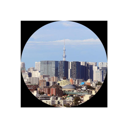 Canon Binocular 12x36 IS III