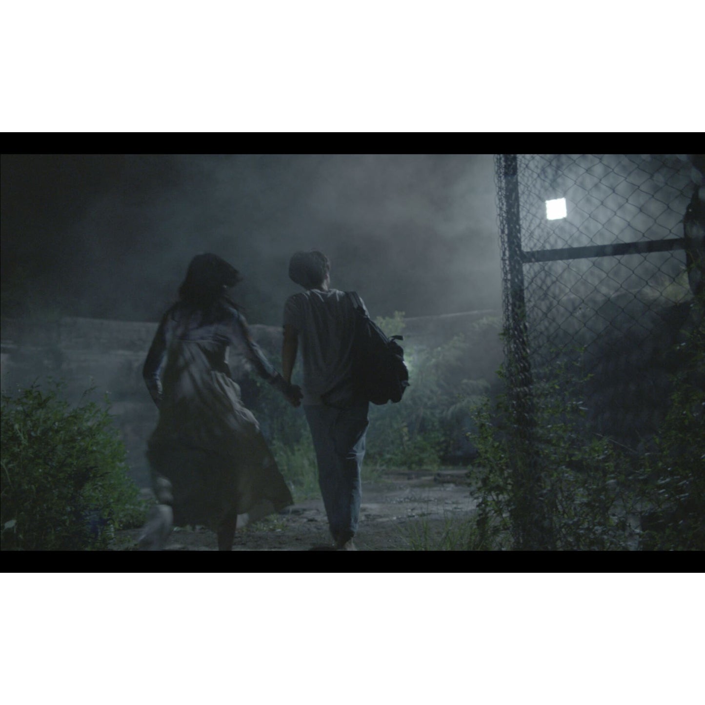 PMI Smoke Genie - Hazer Kit