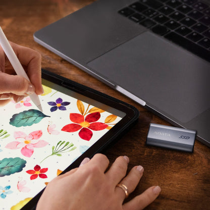 ADATA Externe SSD SC750      1TB Plug&Go Silver 1050/1000