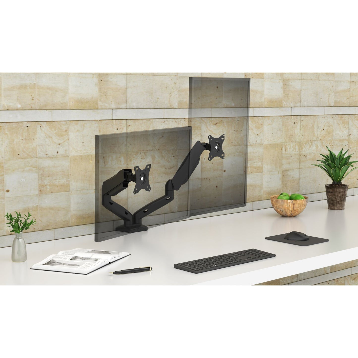 Raidsonic IB-MS204-T Monitorarm für zwei Monitore