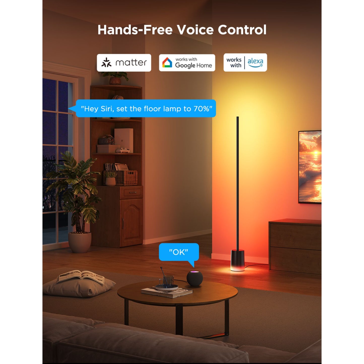 Govee Floor Lamp Matter ready
