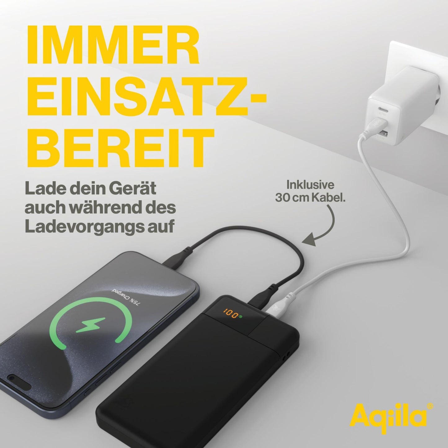 Aqiila Powerbird B10 Powerbank 20W black 10.000 mAh