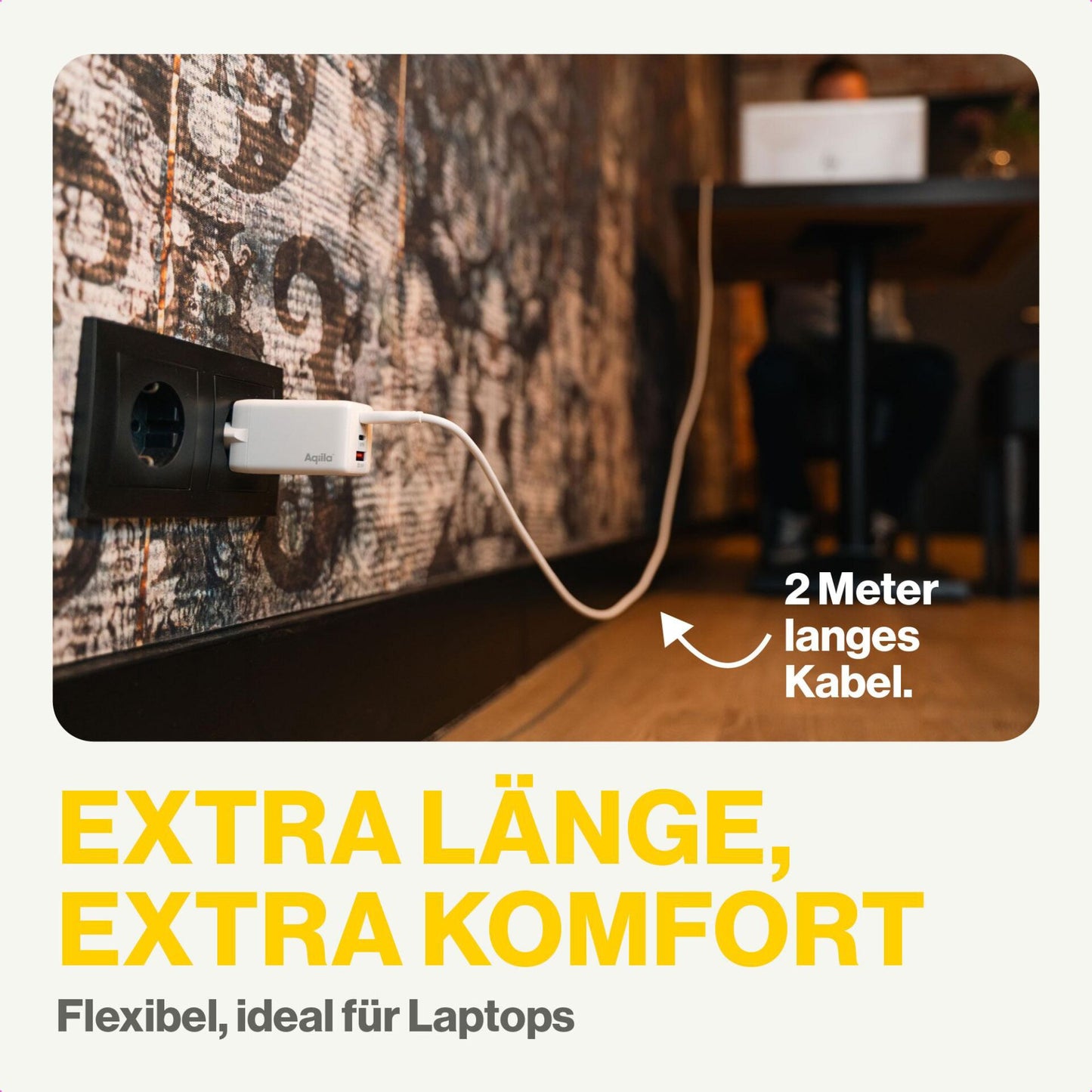 Aqiila Cablebird CS22 Lade-/Sync Cable 60W Type C Lightning 2m