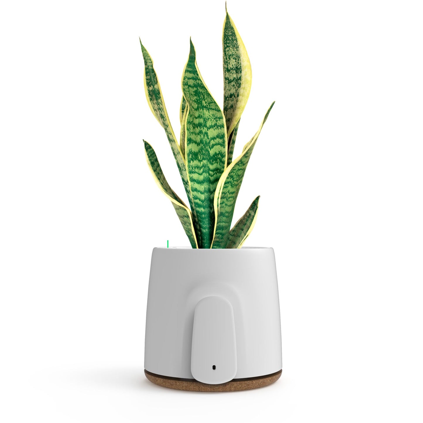 Vitesy Natede Basic Natürlicher Luftreiniger