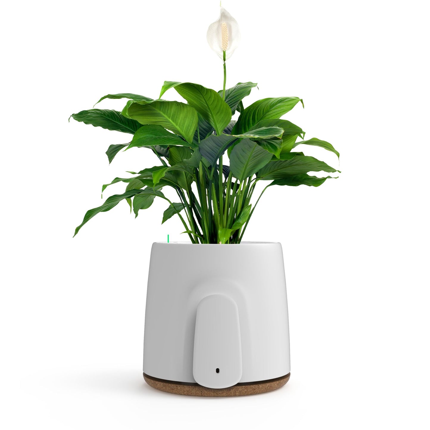 Vitesy Natede Basic Natürlicher Luftreiniger