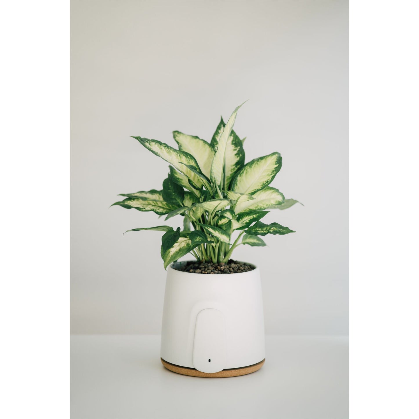 Vitesy Natede Basic Natürlicher Luftreiniger