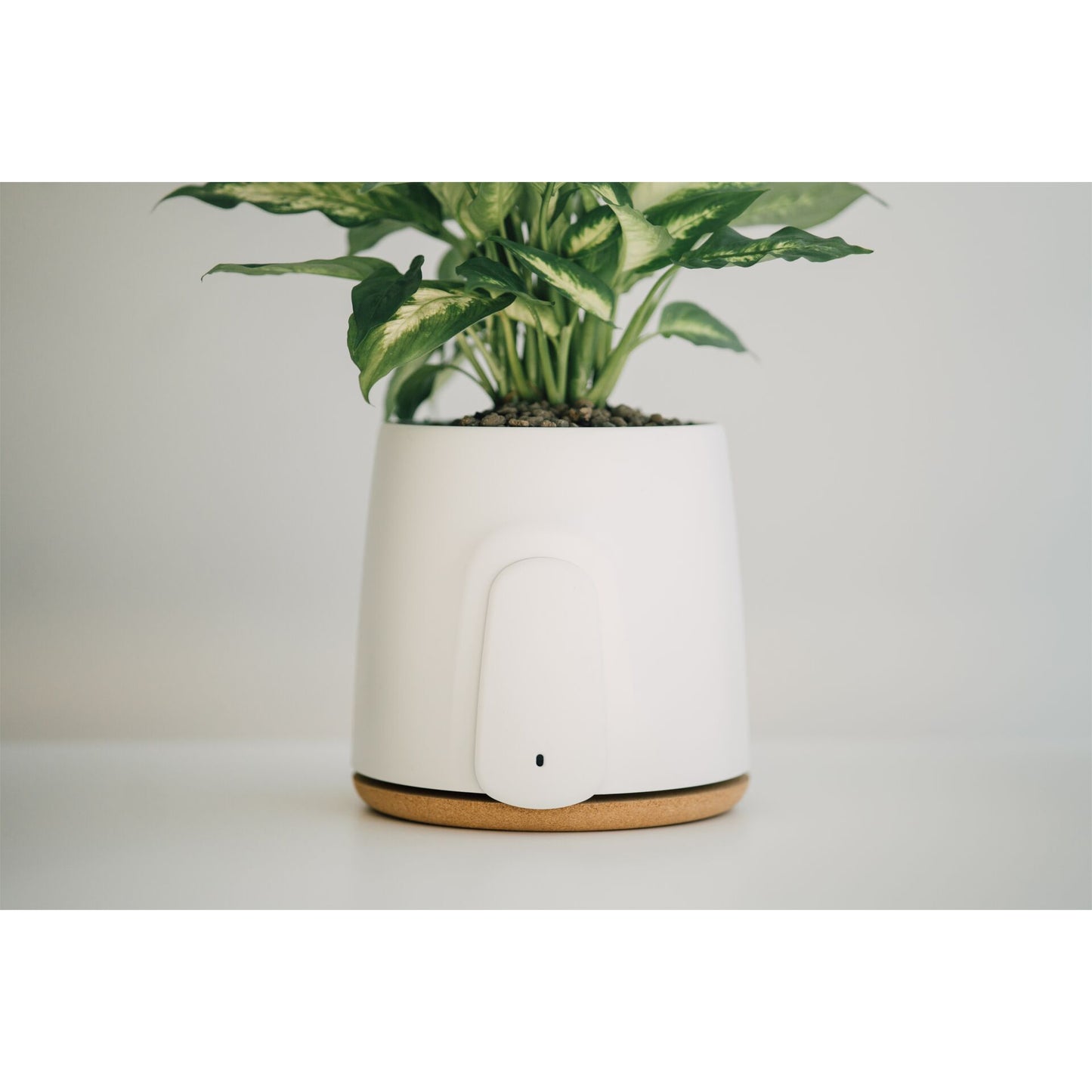 Vitesy Natede Basic Natürlicher Luftreiniger