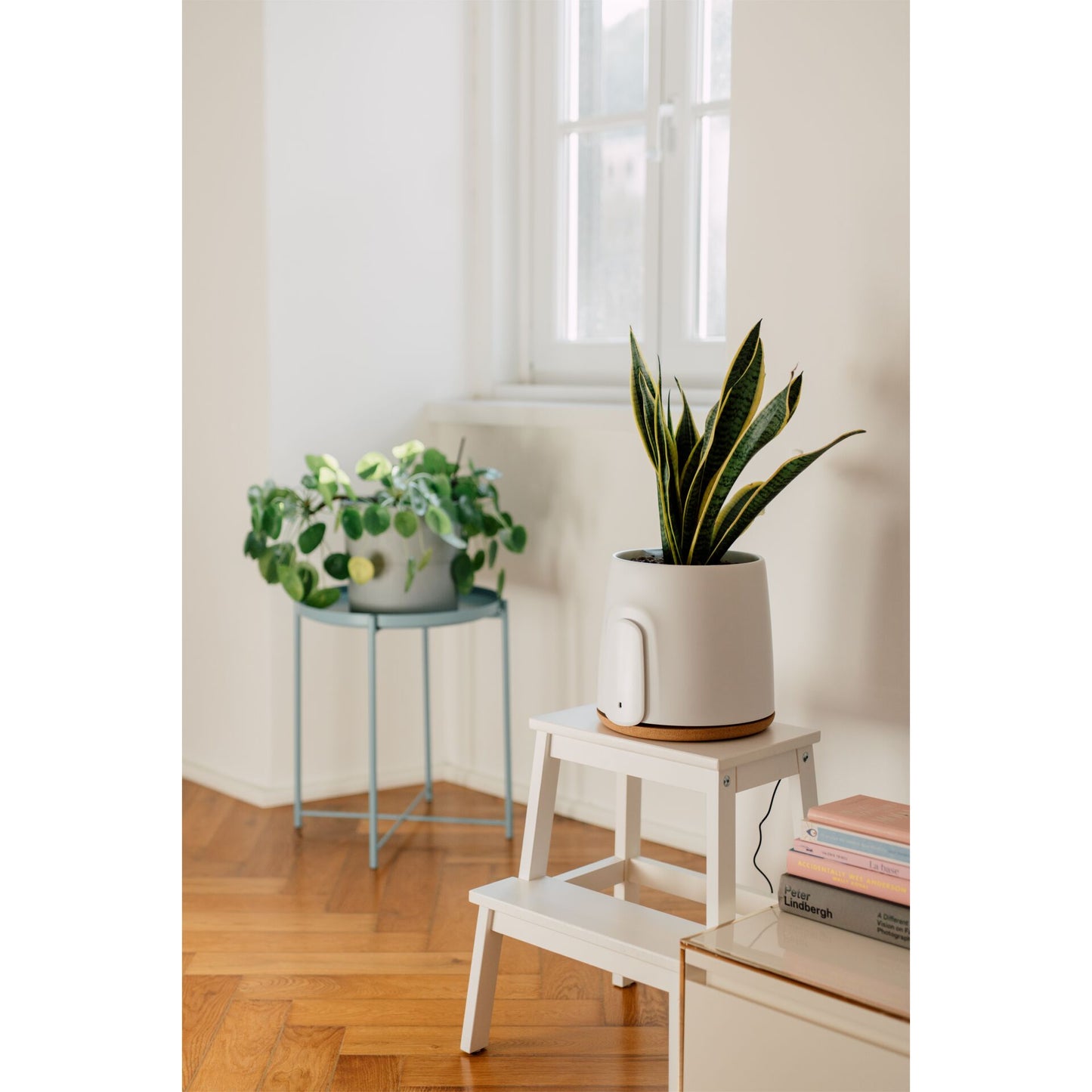 Vitesy Natede Basic Natürlicher Luftreiniger