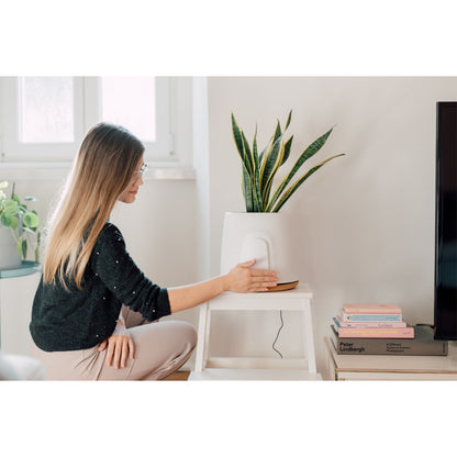 Vitesy Natede Basic Natürlicher Luftreiniger