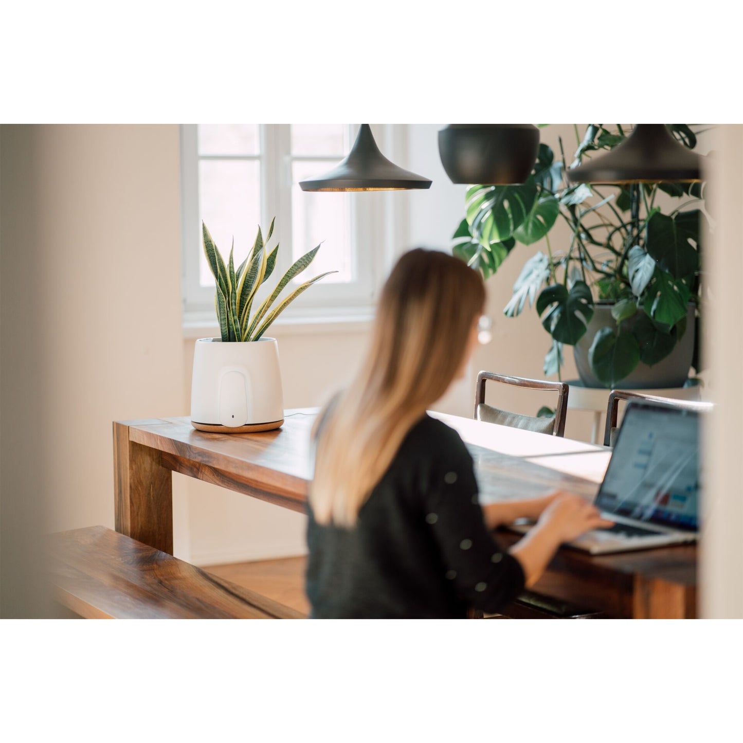 Vitesy Natede Basic Natürlicher Luftreiniger