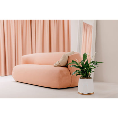 Vitesy Natede Basic Natürlicher Luftreiniger