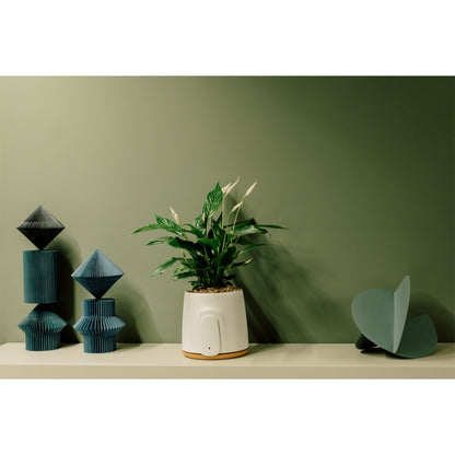 Vitesy Natede Basic Natürlicher Luftreiniger