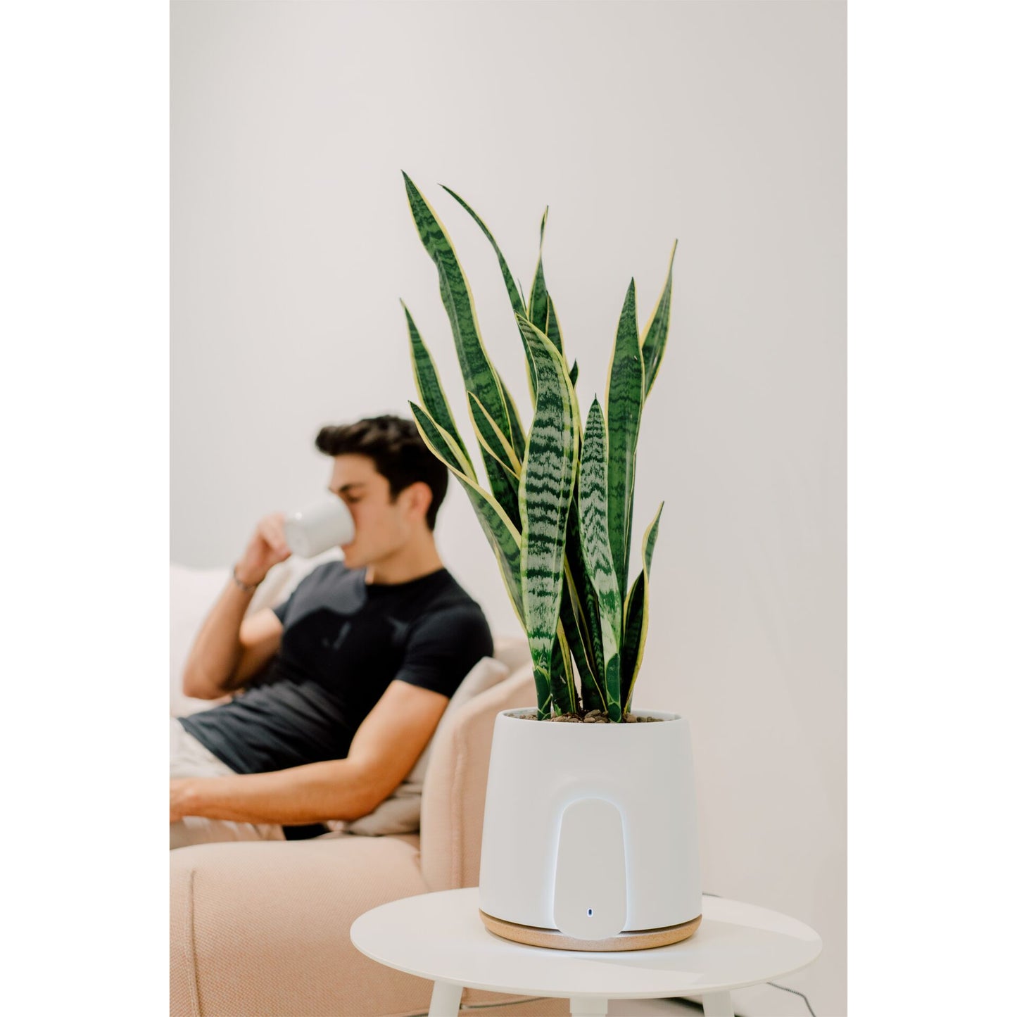 Vitesy Natede Basic Natürlicher Luftreiniger