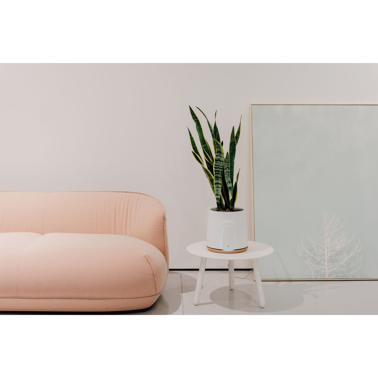 Vitesy Natede Basic Natürlicher Luftreiniger