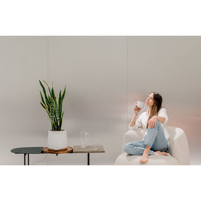 Vitesy Natede Basic Natürlicher Luftreiniger