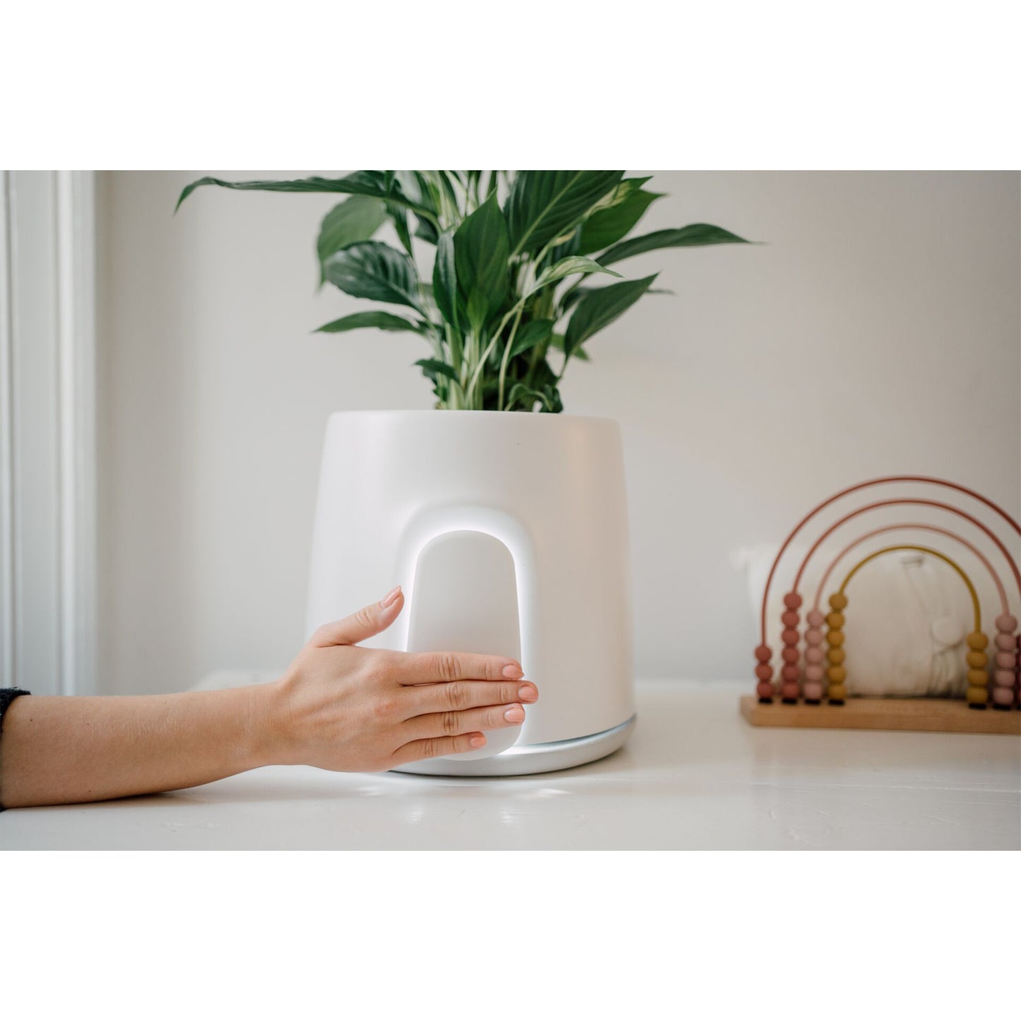 Vitesy Natede Smart Natürlicher Luftreiniger