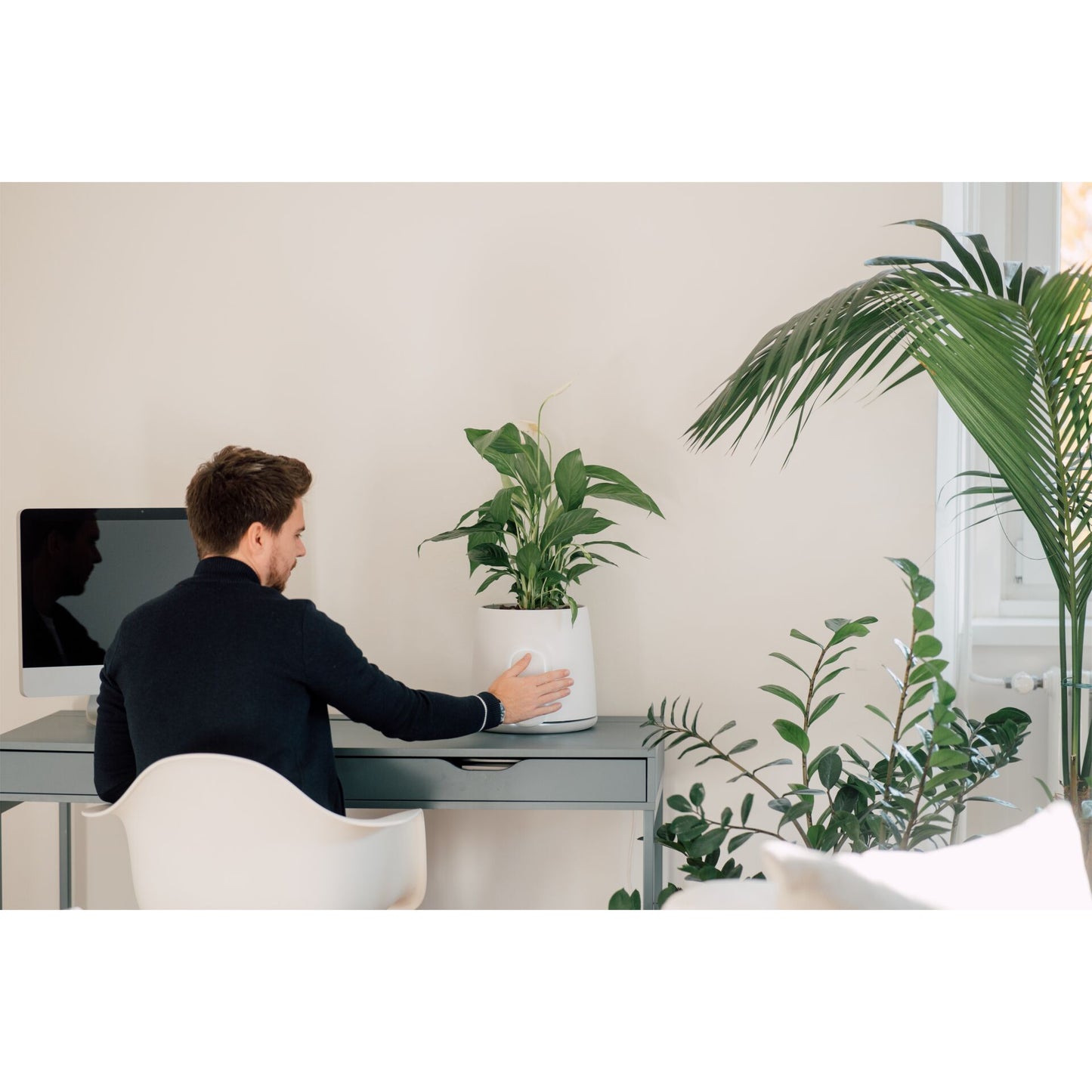 Vitesy Natede Smart Natürlicher Luftreiniger