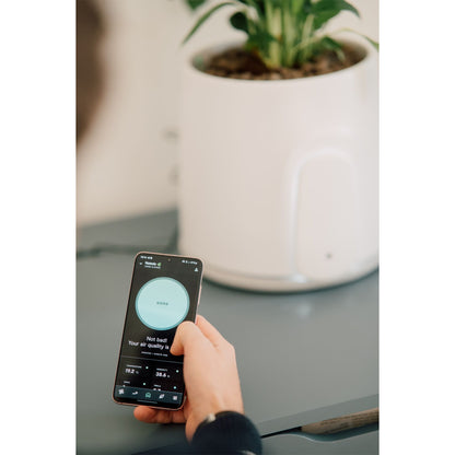 Vitesy Natede Smart Natürlicher Luftreiniger