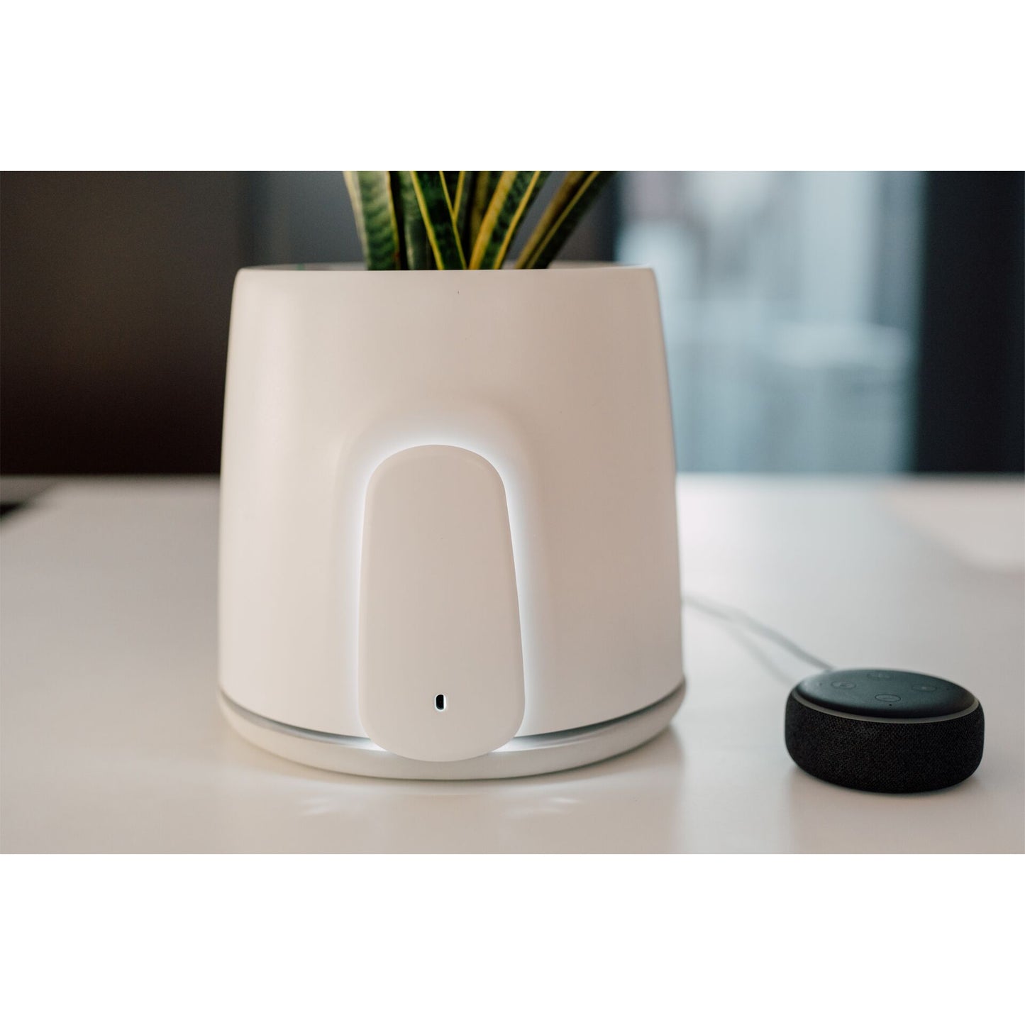 Vitesy Natede Smart Natürlicher Luftreiniger