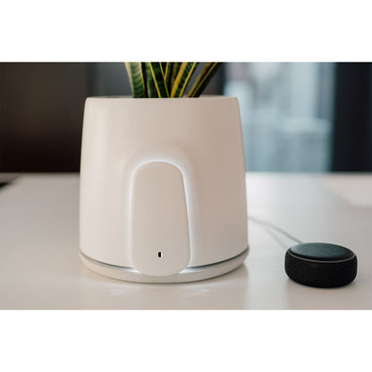 Vitesy Natede Smart Natürlicher Luftreiniger