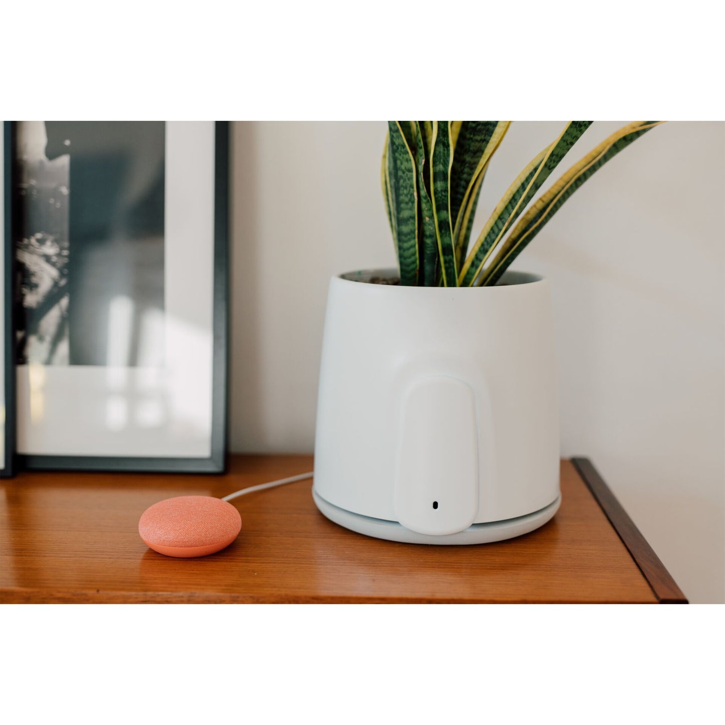 Vitesy Natede Smart Natürlicher Luftreiniger