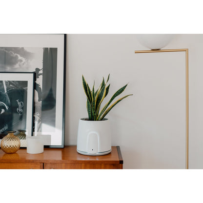 Vitesy Natede Smart Natürlicher Luftreiniger