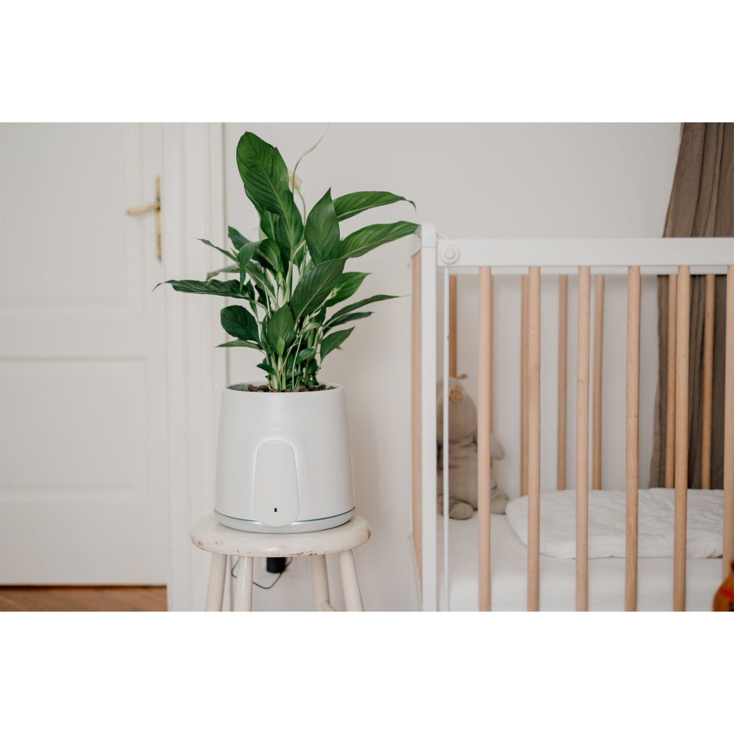 Vitesy Natede Smart Natürlicher Luftreiniger