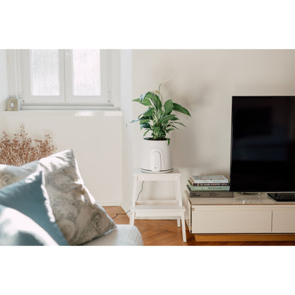 Vitesy Natede Smart Natürlicher Luftreiniger