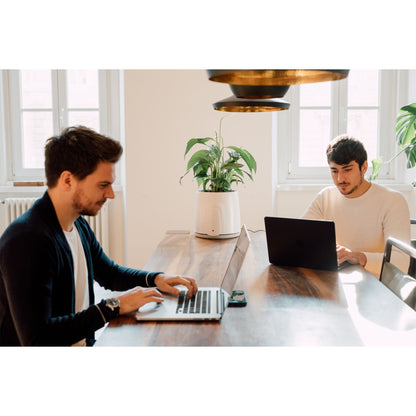 Vitesy Natede Smart Natürlicher Luftreiniger