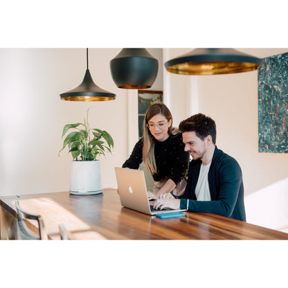 Vitesy Natede Smart Natürlicher Luftreiniger