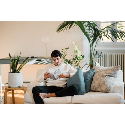 Vitesy Natede Smart Natürlicher Luftreiniger