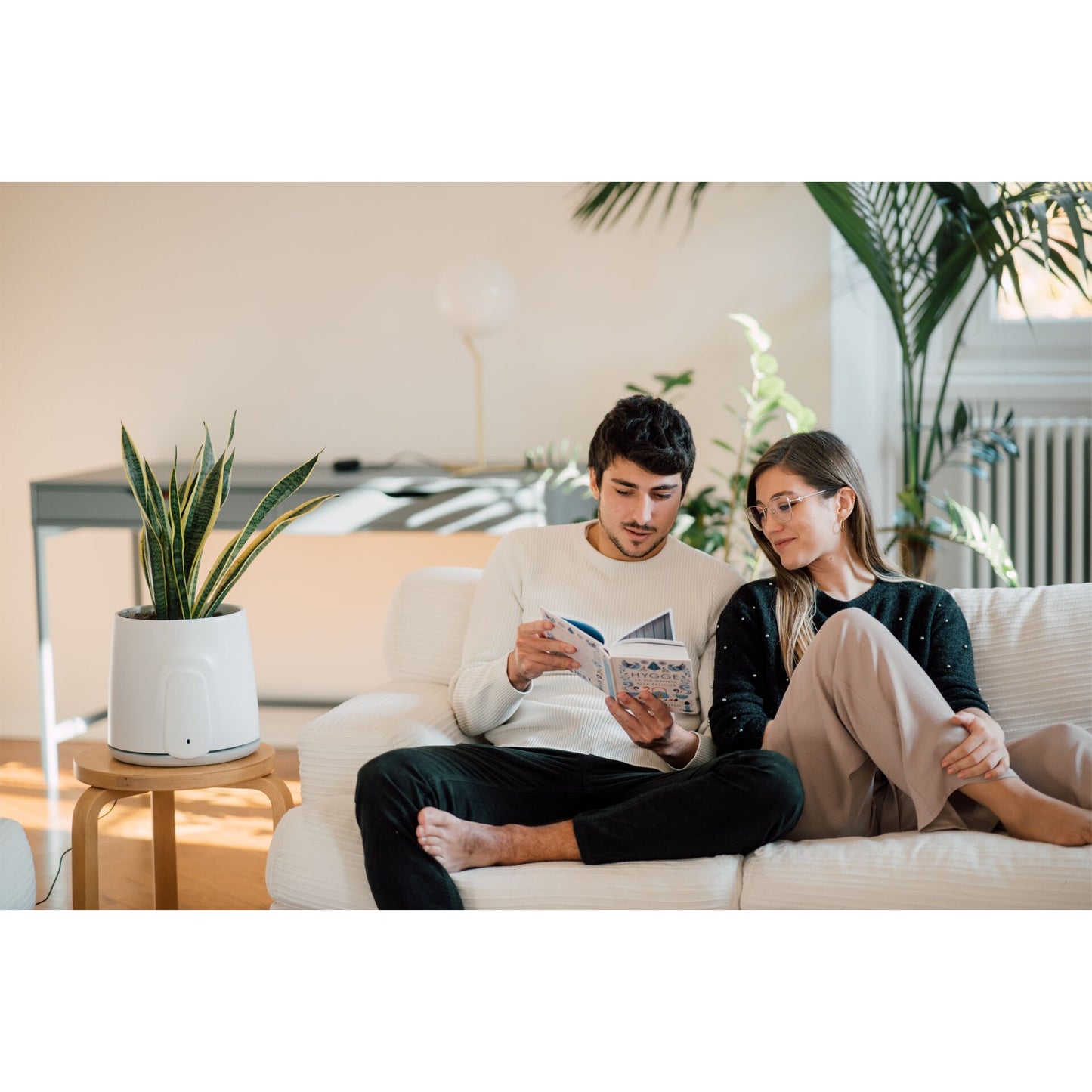 Vitesy Natede Smart Natürlicher Luftreiniger