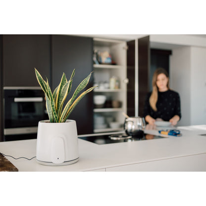 Vitesy Natede Smart Natürlicher Luftreiniger