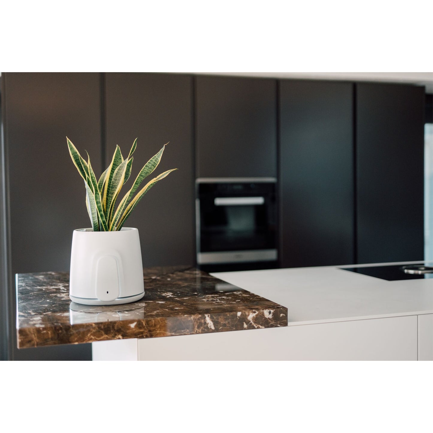 Vitesy Natede Smart Natürlicher Luftreiniger