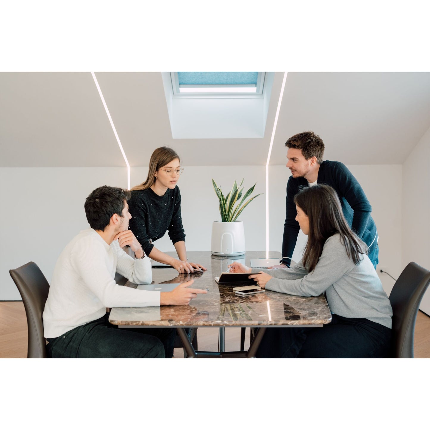 Vitesy Natede Smart Natürlicher Luftreiniger