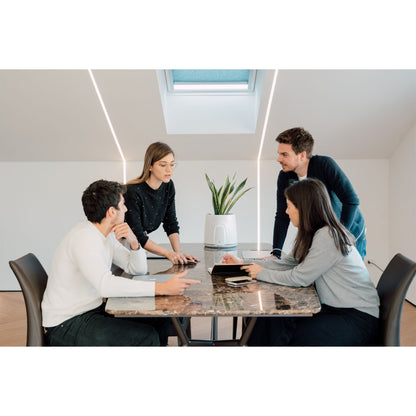 Vitesy Natede Smart Natürlicher Luftreiniger