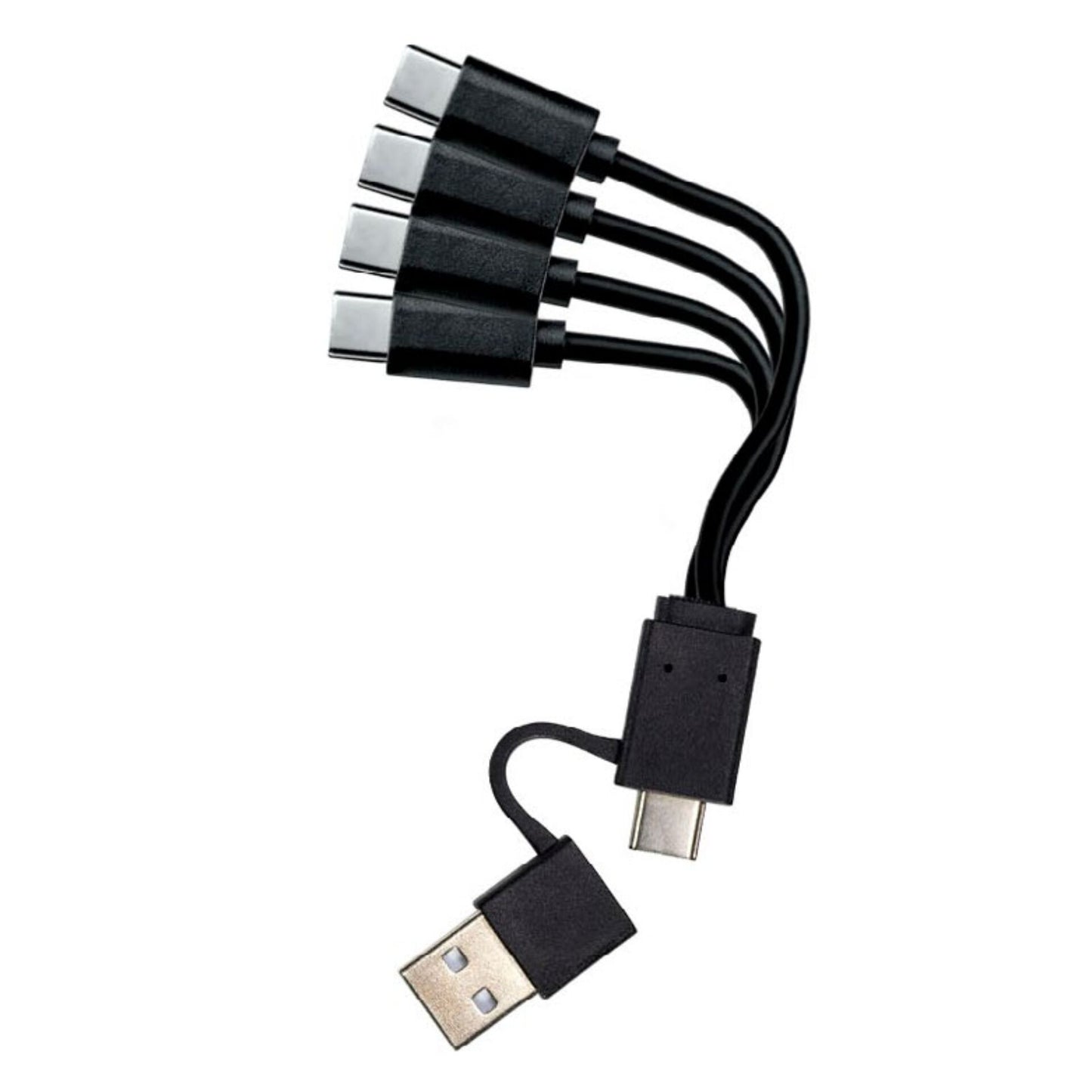 1x4 Coast Zithion-X Mignon AA Akku, USB-C Ladeanschl