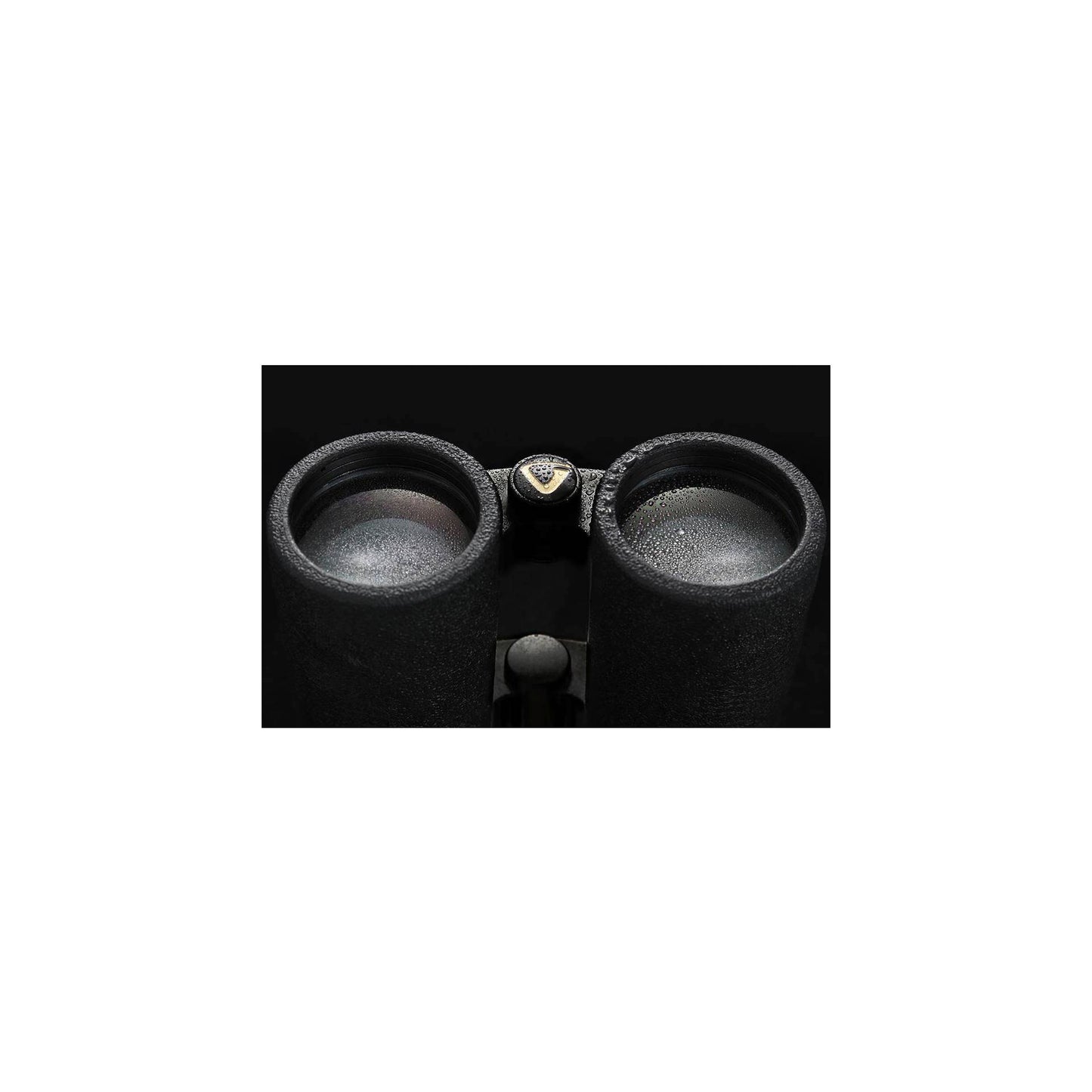 Vanguard Endeavor ED II 10x42