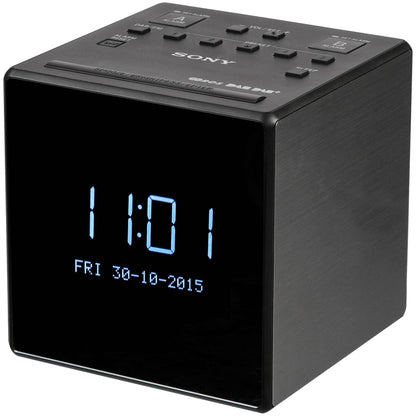 Sony XDR-C1DBP titan / black