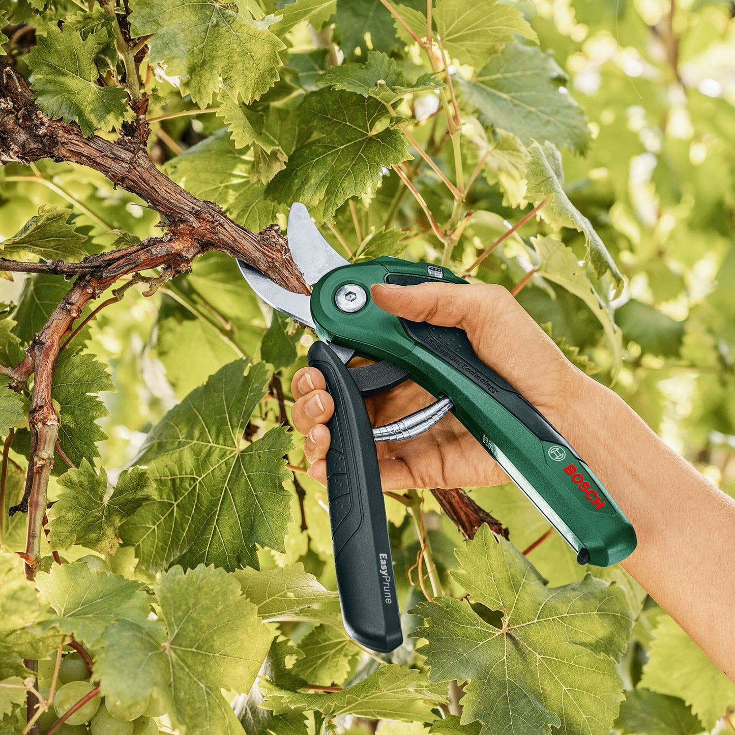 Bosch EASYPRUNE AKKU-GARTEN- Schere CLASSIC