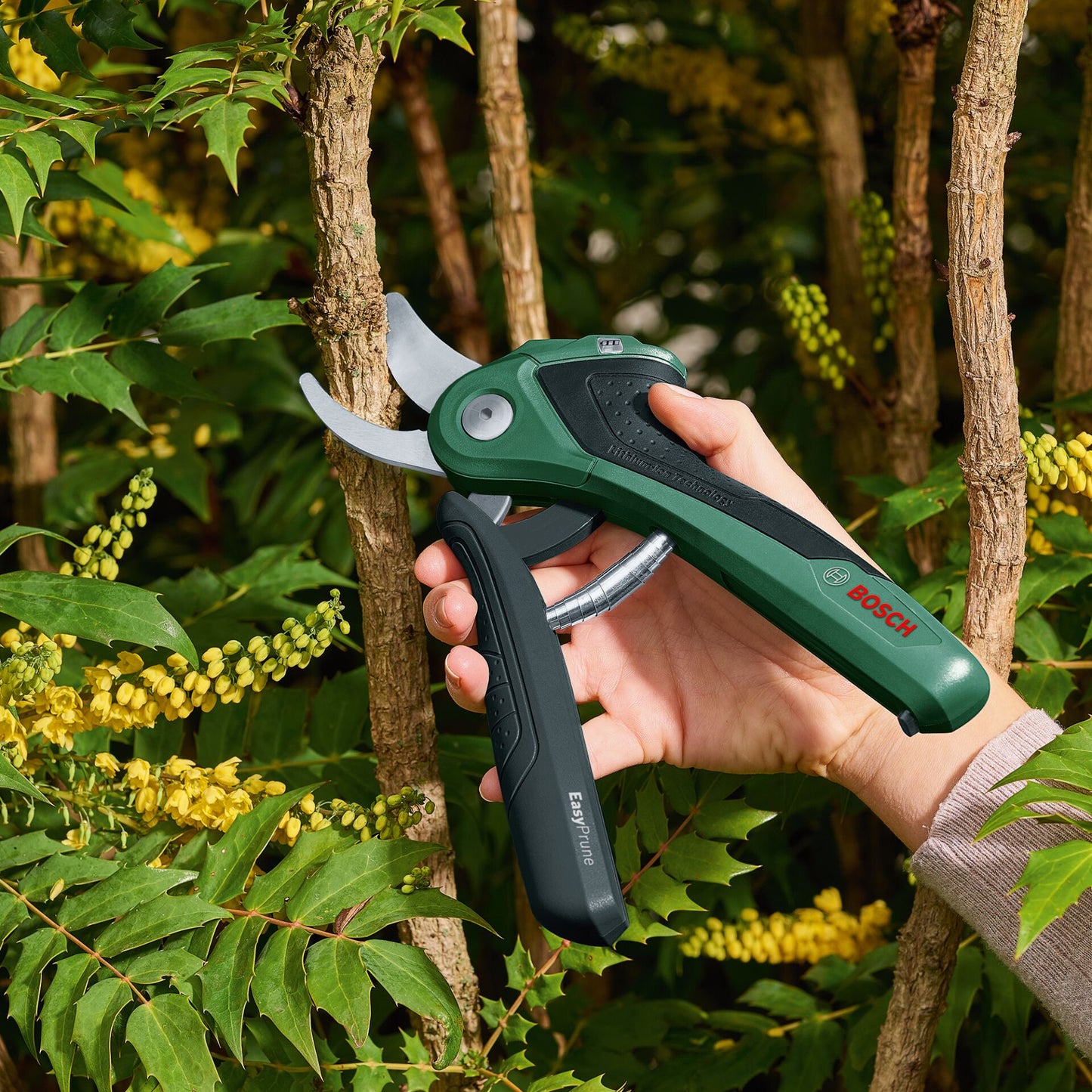 Bosch EASYPRUNE AKKU-GARTEN- Schere CLASSIC