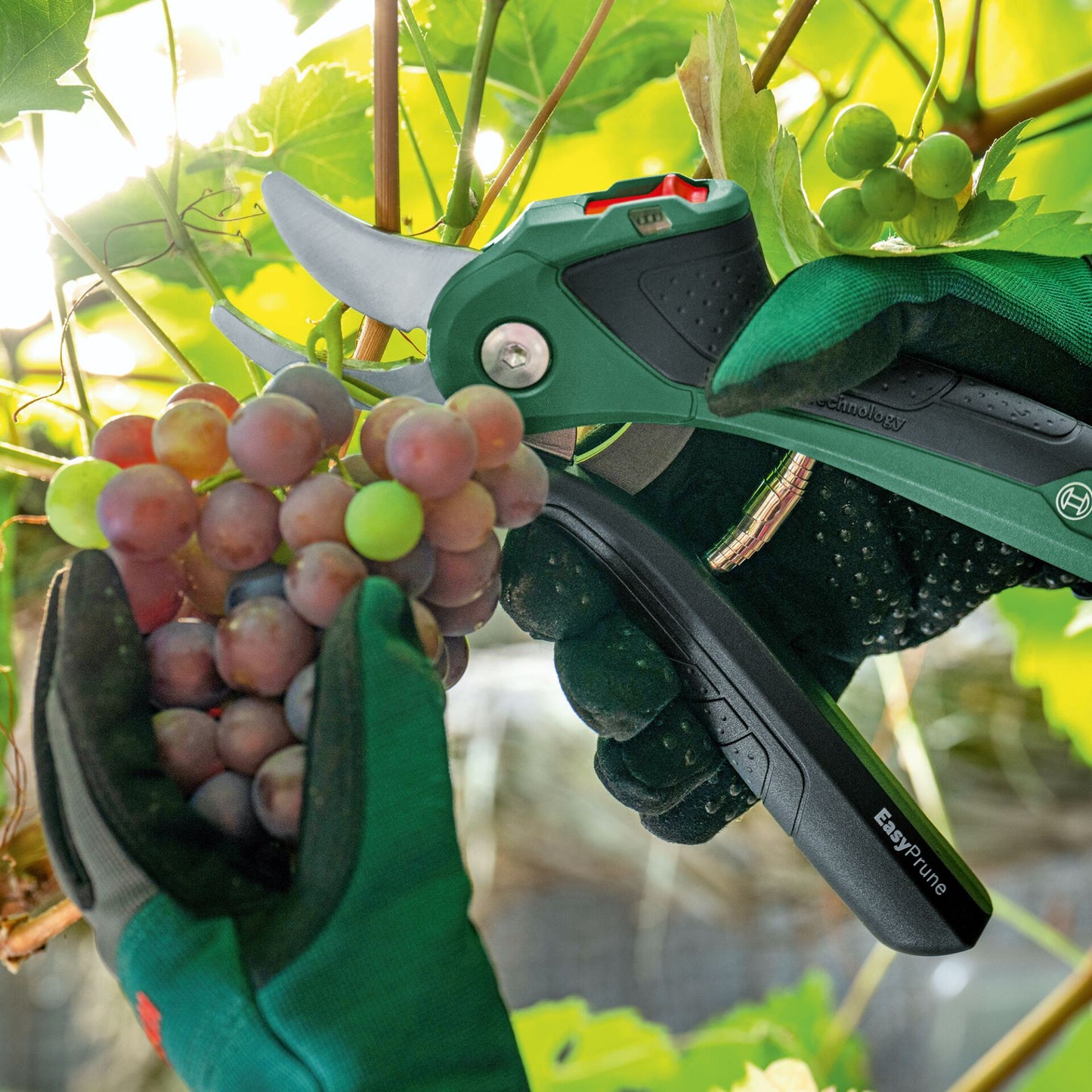 Bosch EASYPRUNE AKKU-GARTEN- Schere CLASSIC