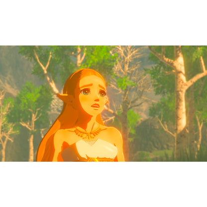 Nintendo Switch Legend of Zelda Breath of the Wild