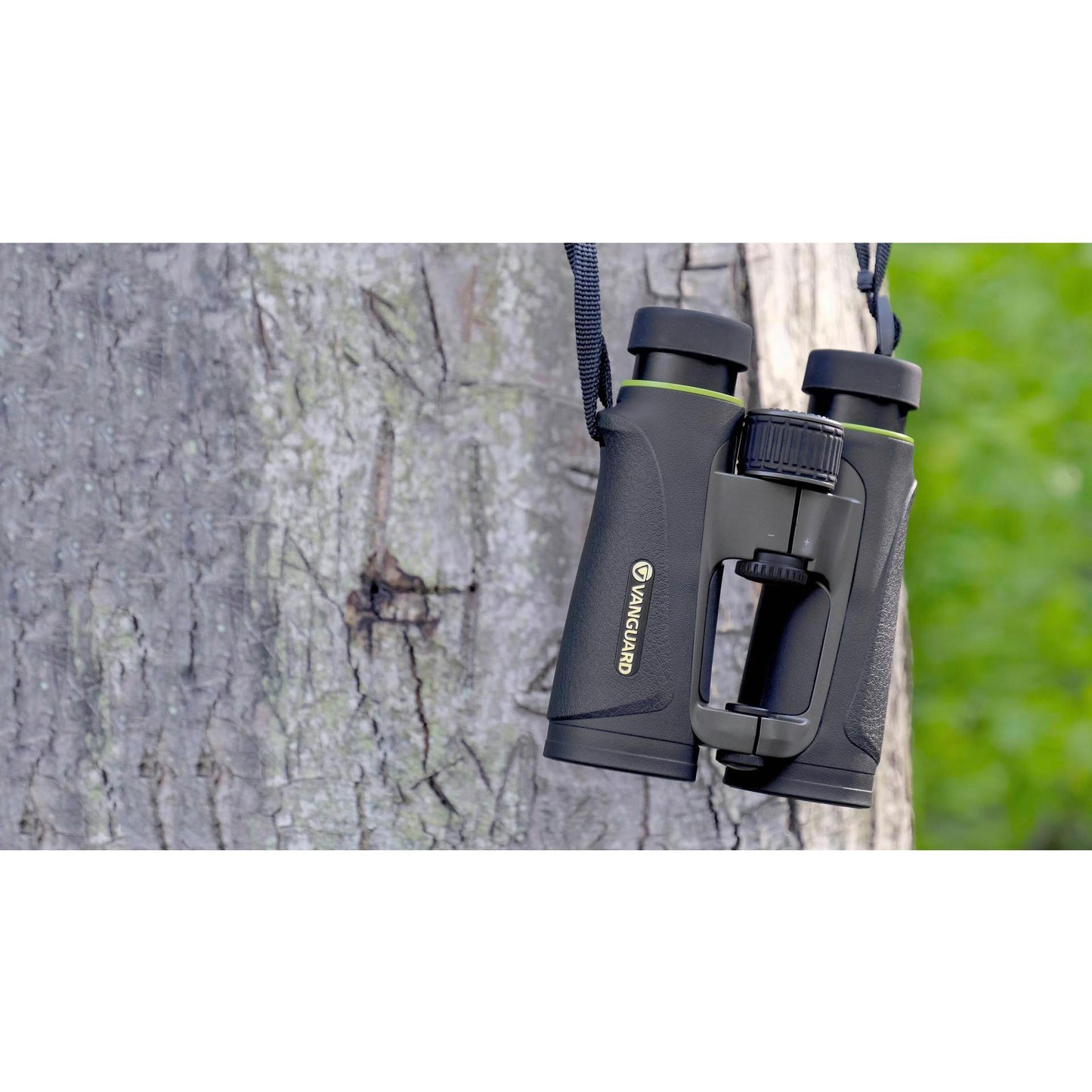 Vanguard Endeavor ED IV  8x42