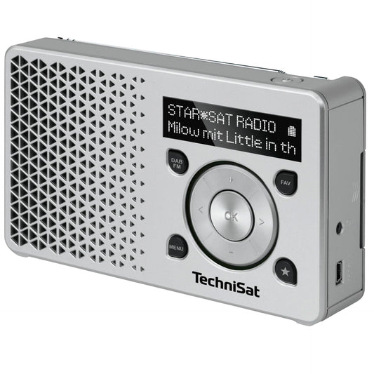 Technisat DigitRadio 1 silver