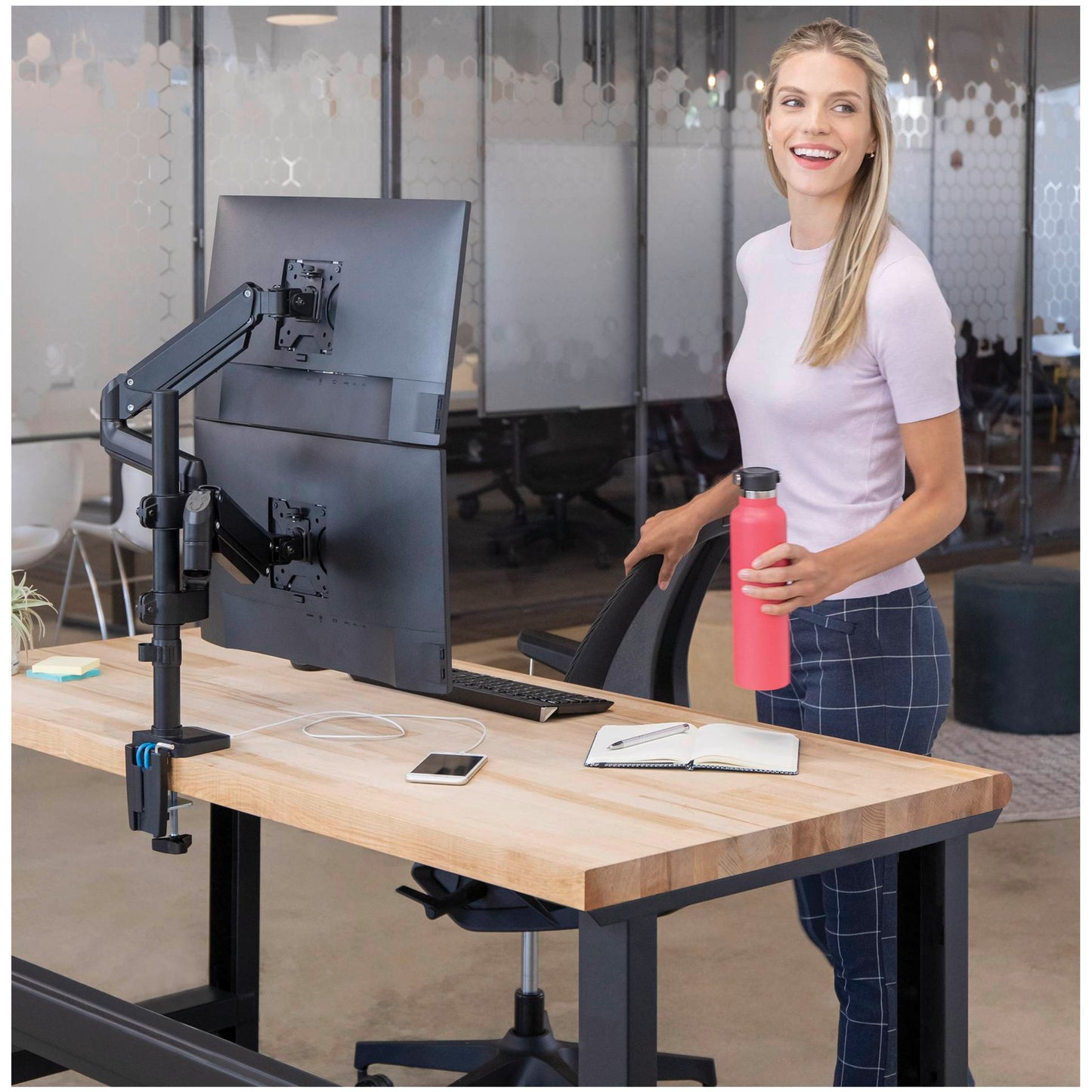 Fellowes Platinum Series vertical double arm