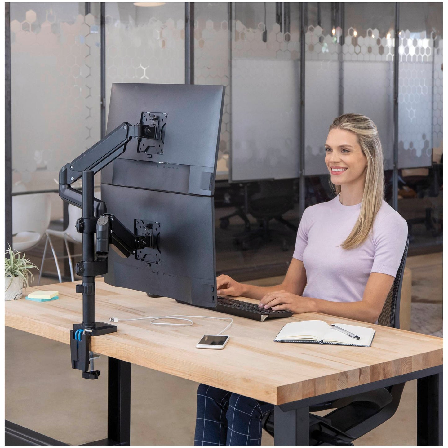 Fellowes Platinum Series vertical double arm