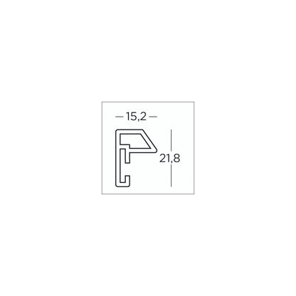 Walther Steel Style        20x30 Resin silver ES030S